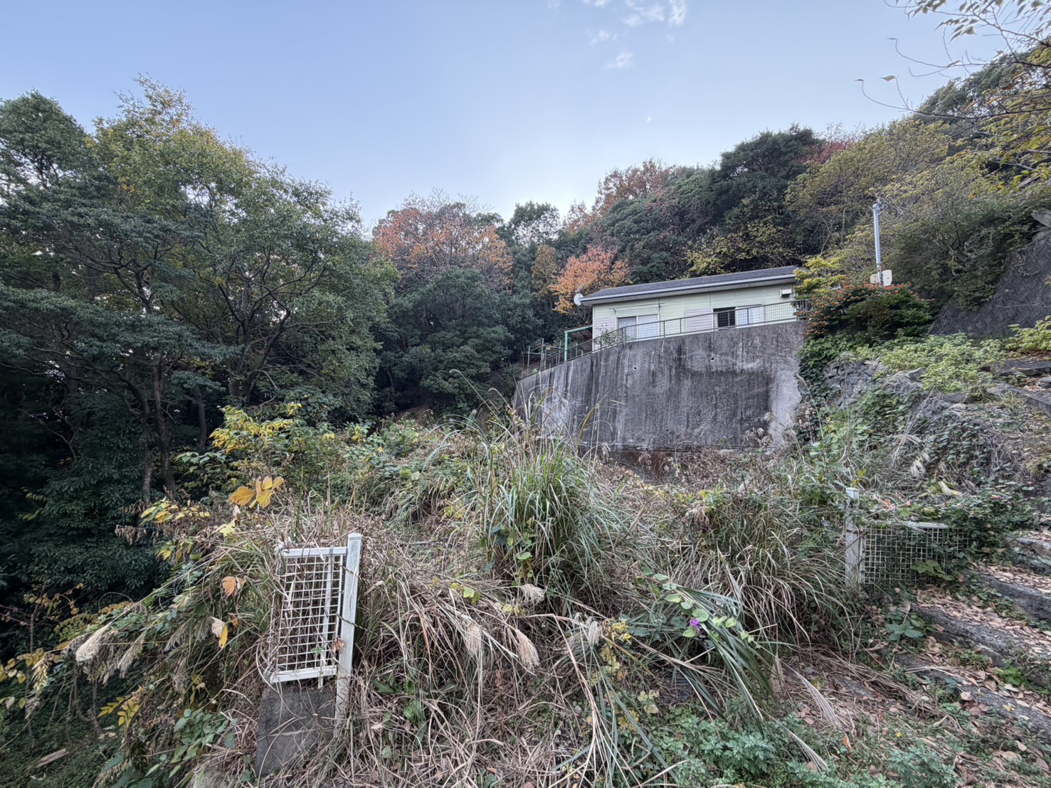 美浜町和田 売地